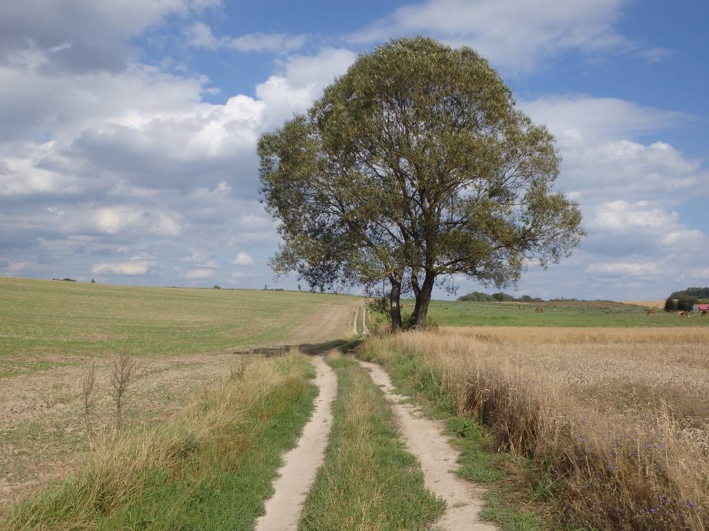 Zdjęcie 3