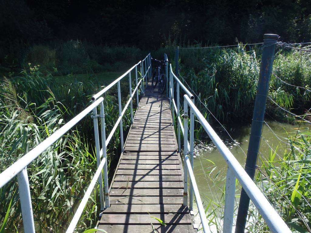 Zdjęcie 6