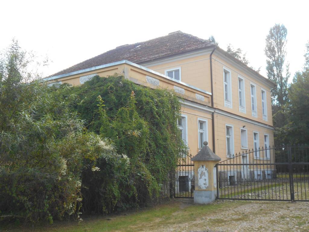 Zdjęcie 6