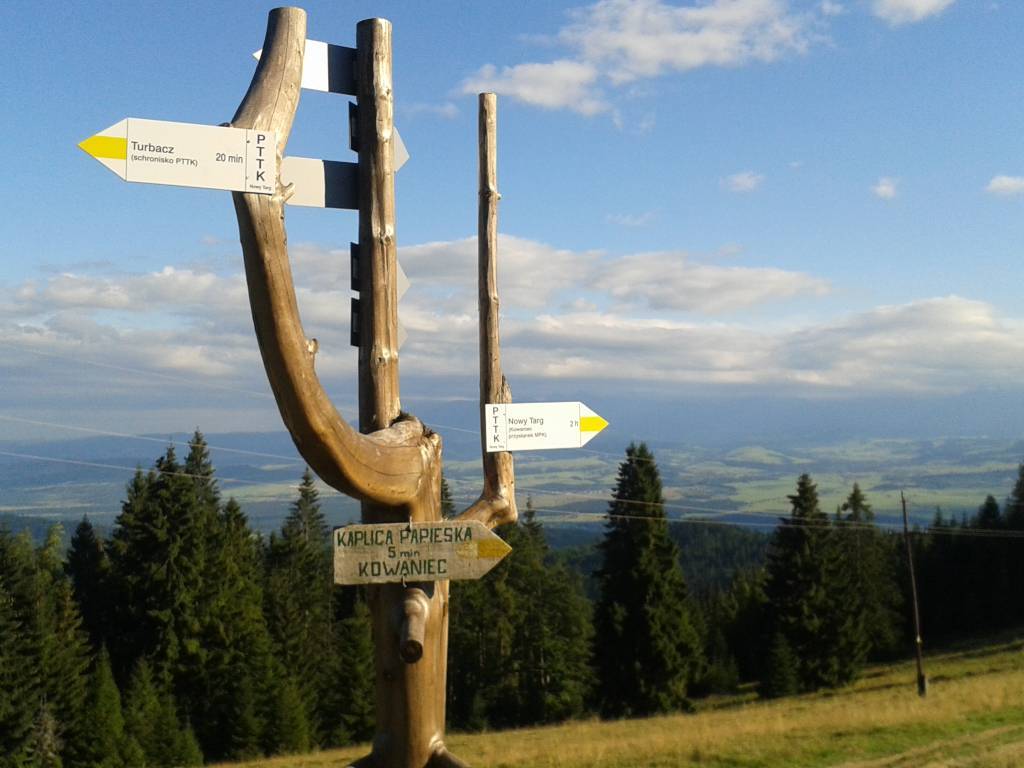 Zdjęcie 3