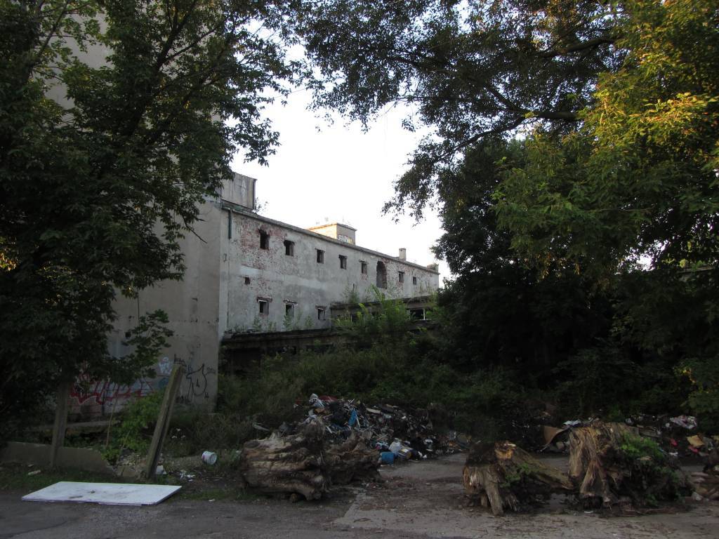 Zdjęcie 4