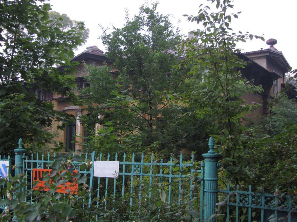 Zdjęcie 5