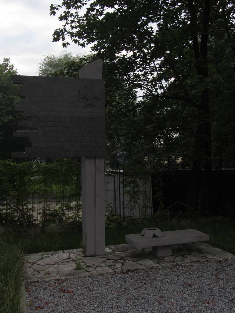 Zdjęcie 6