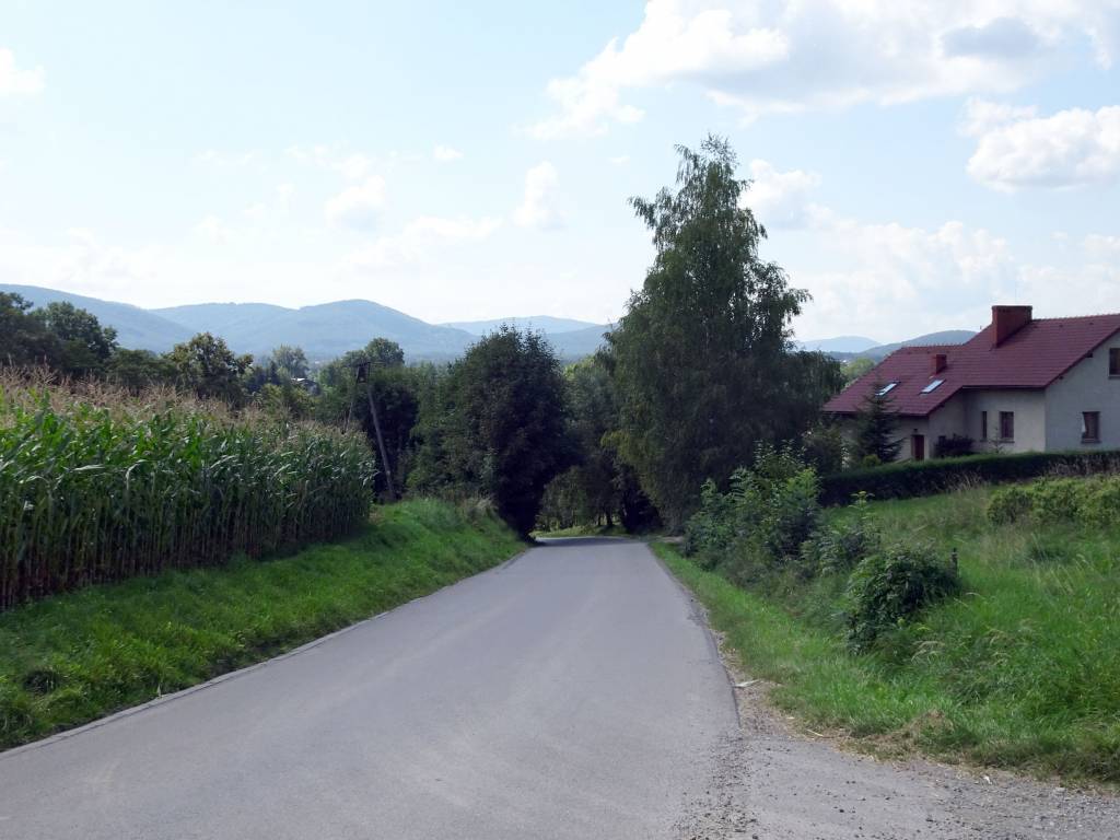Zdjęcie 6