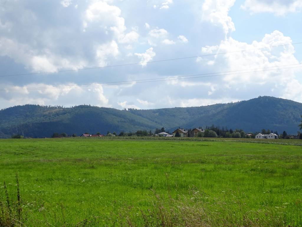 Zdjęcie 3
