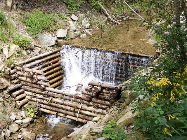 Zdjęcie 3