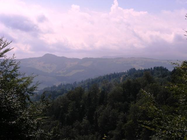 Zdjęcie 5