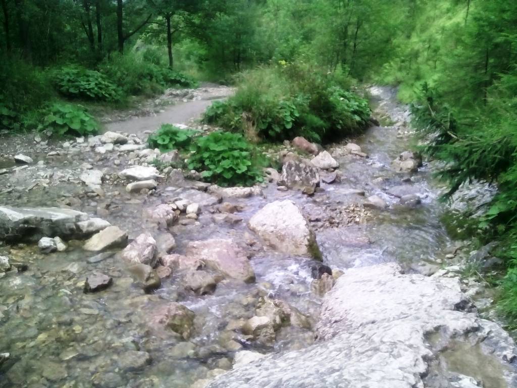 Zdjęcie 6