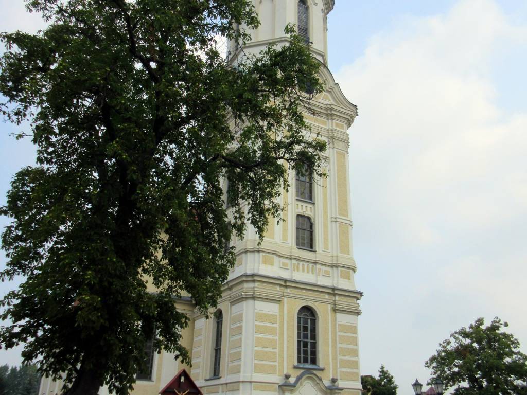Zdjęcie 4