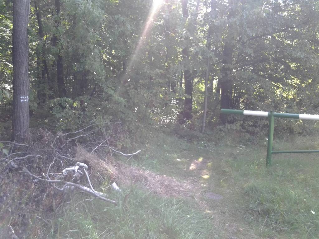 Zdjęcie 4