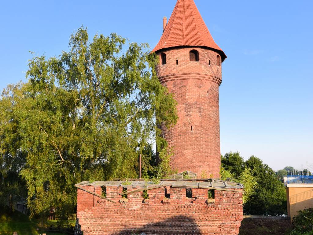 Zdjęcie 2