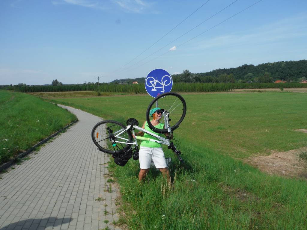 Zdjęcie 2
