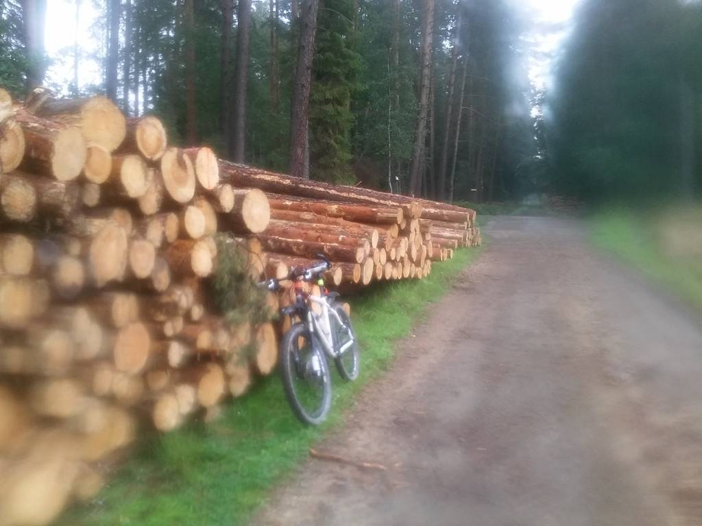 Zdjęcie 4