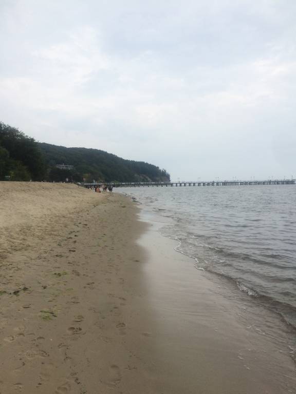 Zdjęcie 6