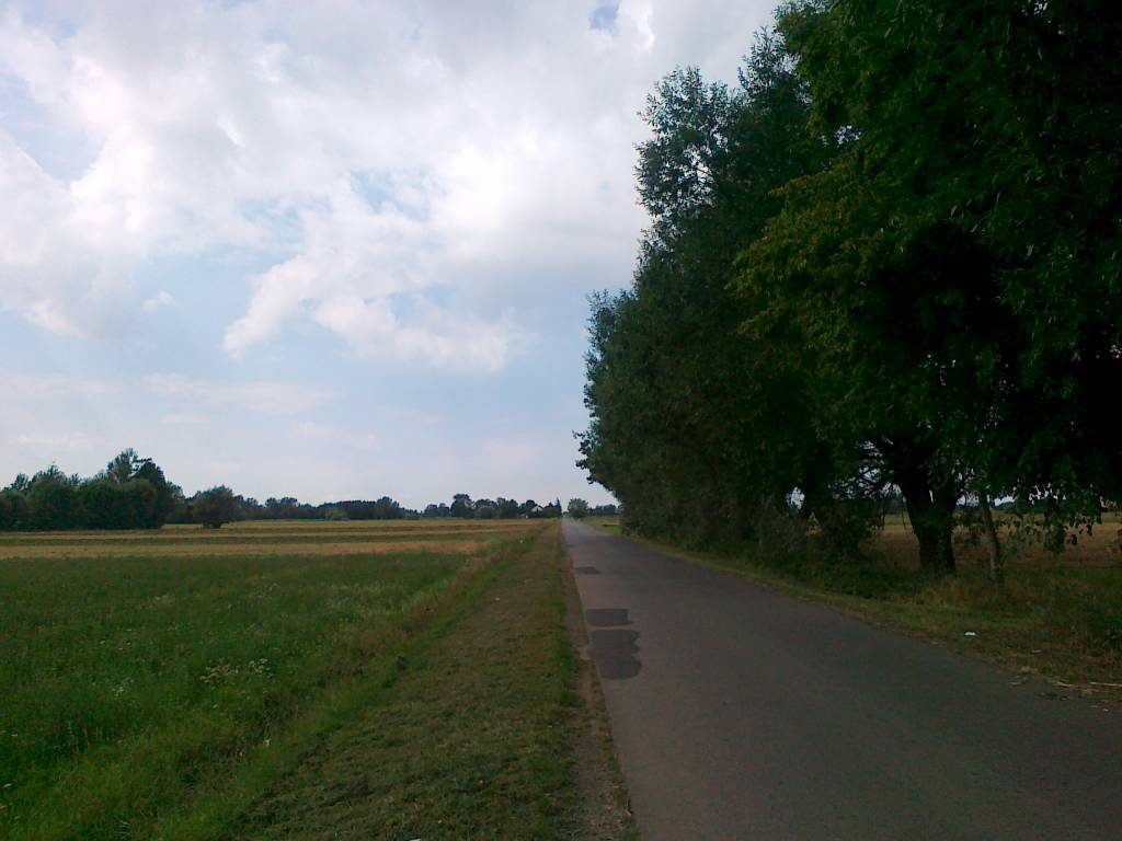Zdjęcie 2
