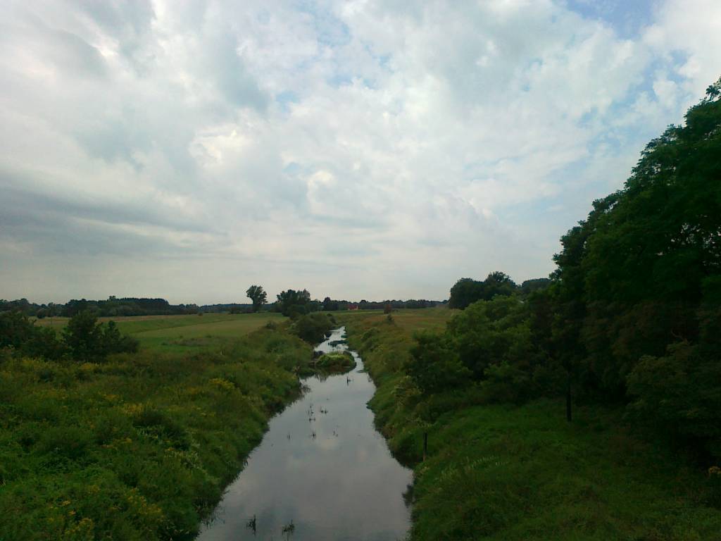 Zdjęcie 5