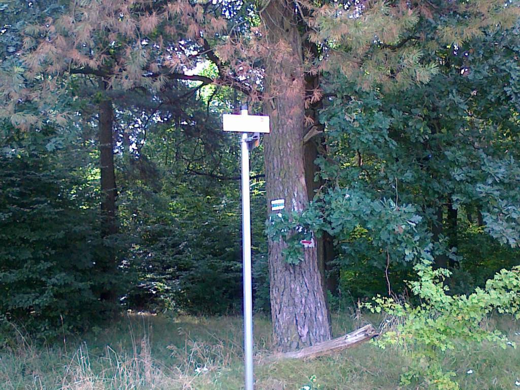 Zdjęcie 3