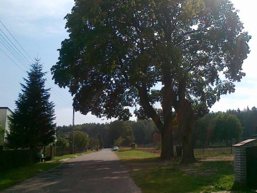 Zdjęcie 4