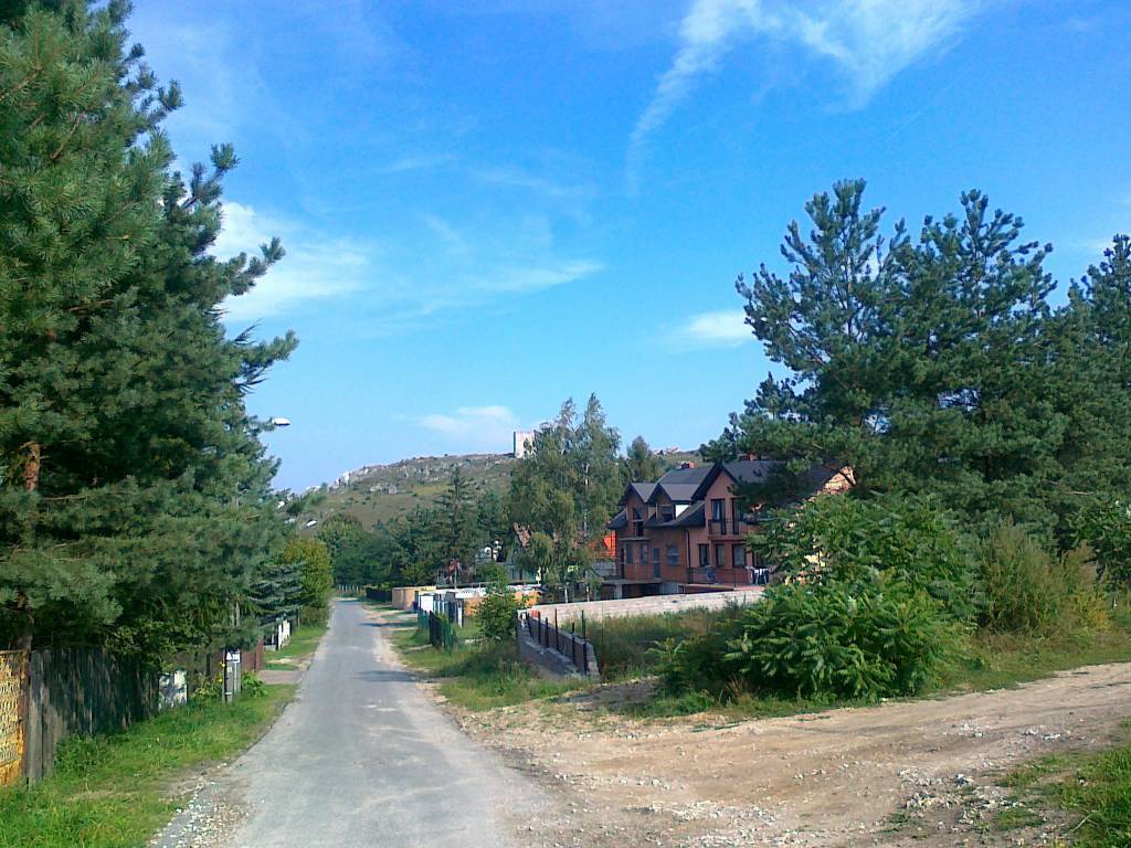 Zdjęcie 5