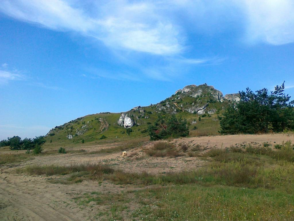 Zdjęcie 6