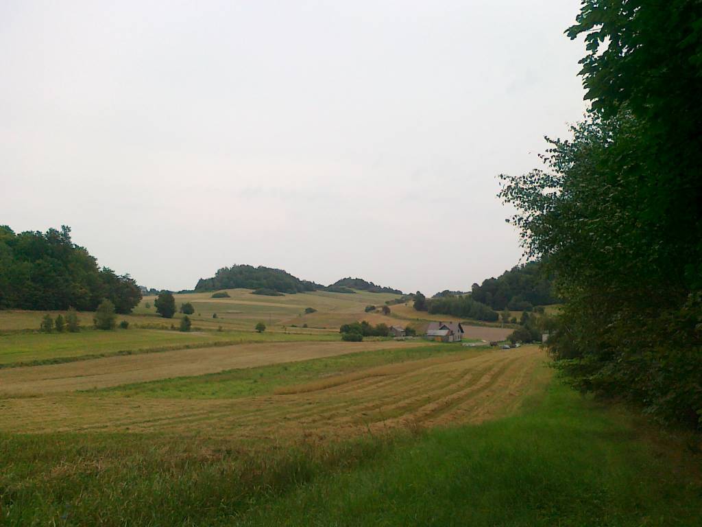 Zdjęcie 2