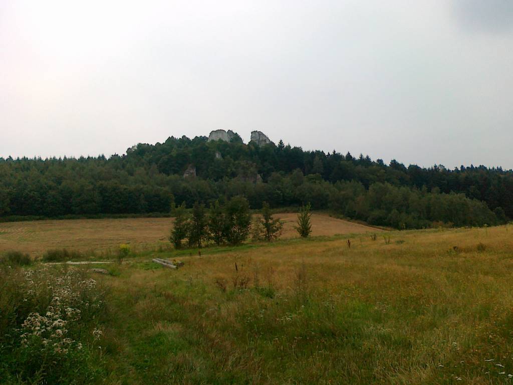Zdjęcie 4