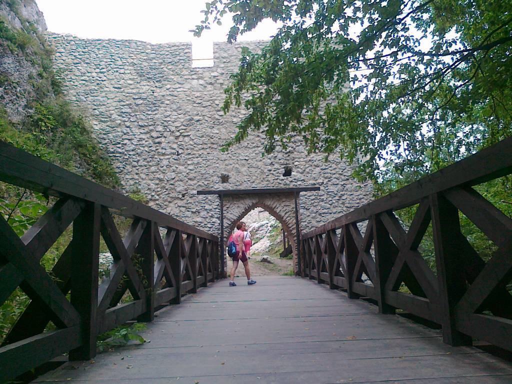 Zdjęcie 5