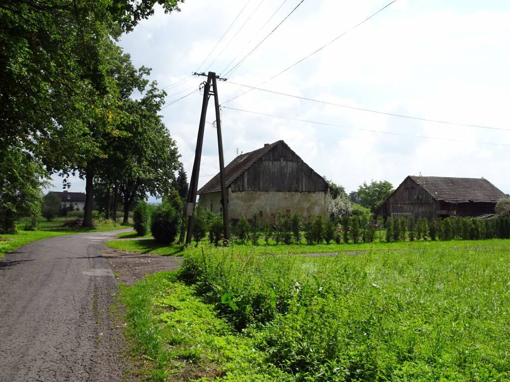 Zdjęcie 5