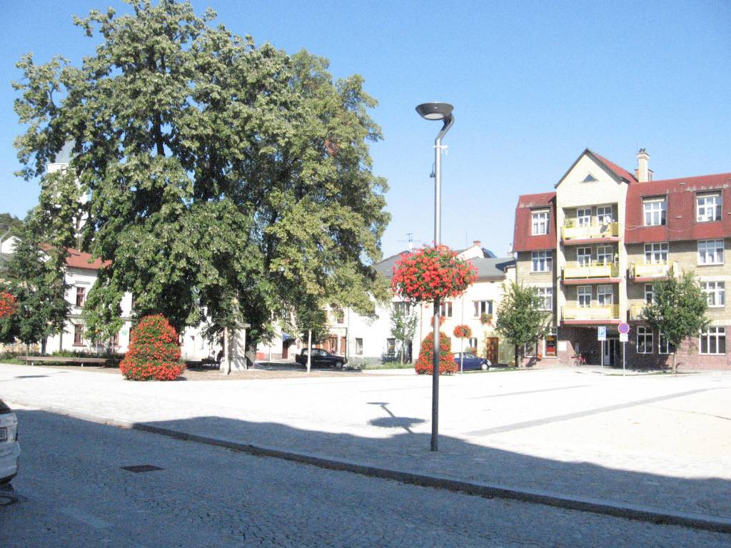 Zdjęcie 6