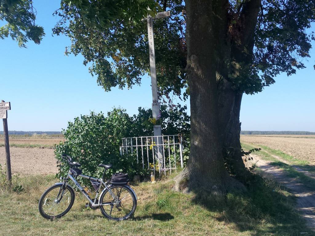 Zdjęcie 4