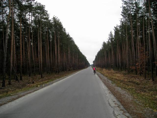 Zdjęcie 2