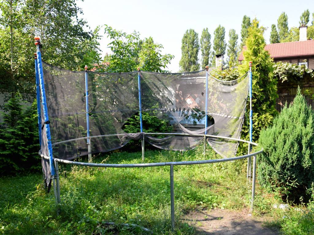 Zdjęcie 5