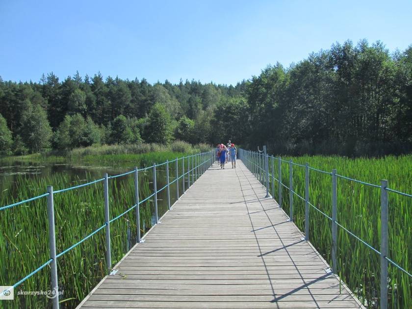 Zdjęcie 6