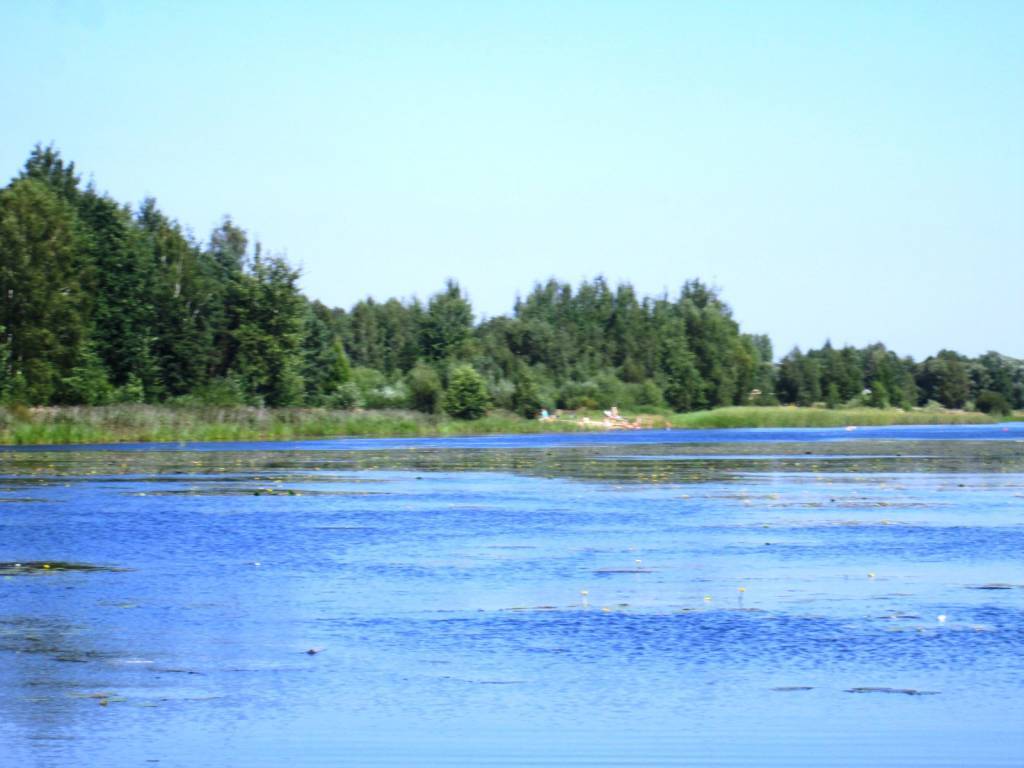 Zdjęcie 6