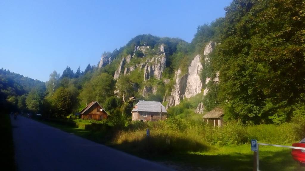 Zdjęcie 5