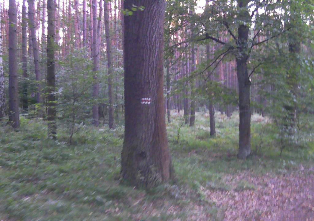 Zdjęcie 3