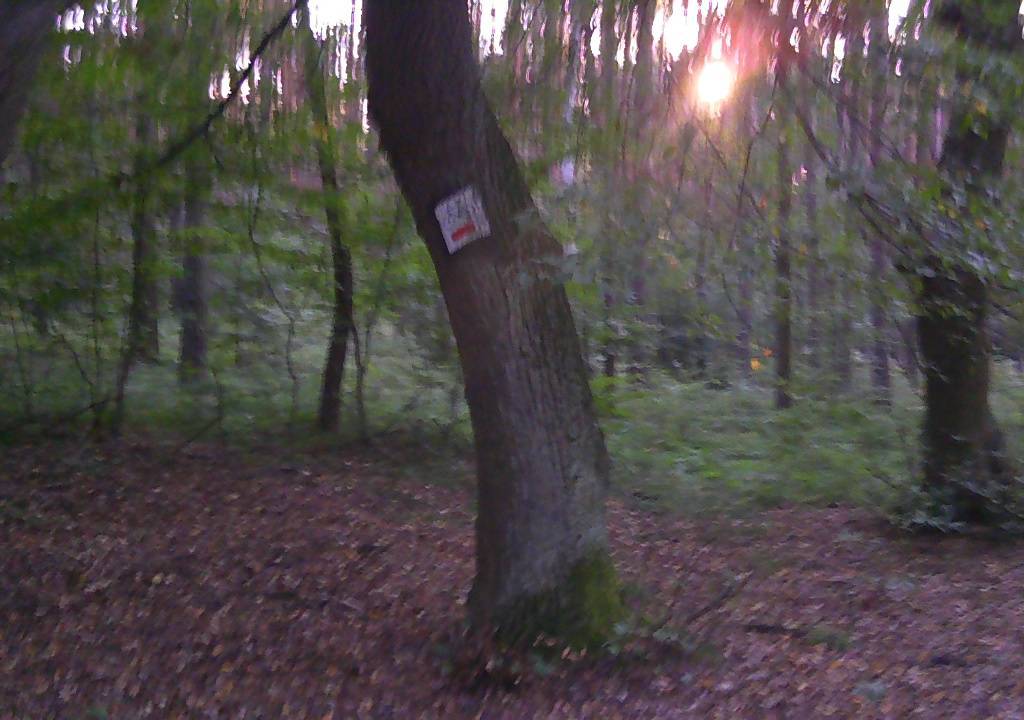 Zdjęcie 4
