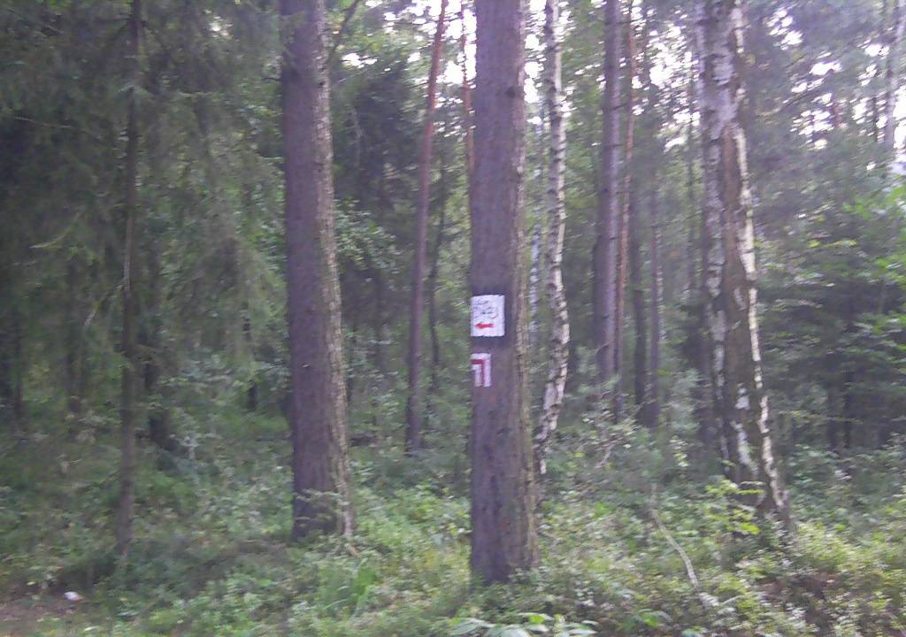 Zdjęcie 5
