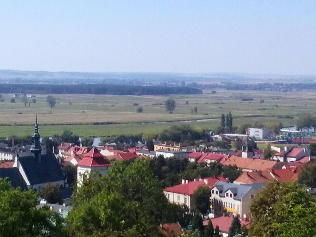 Zdjęcie 4