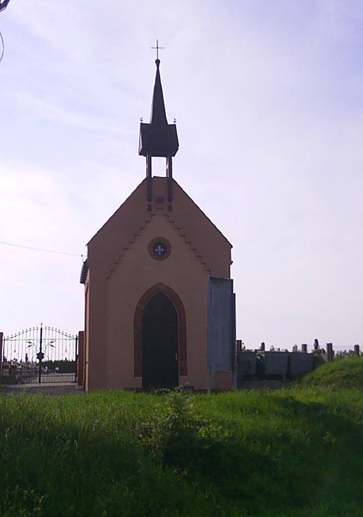 Zdjęcie 5