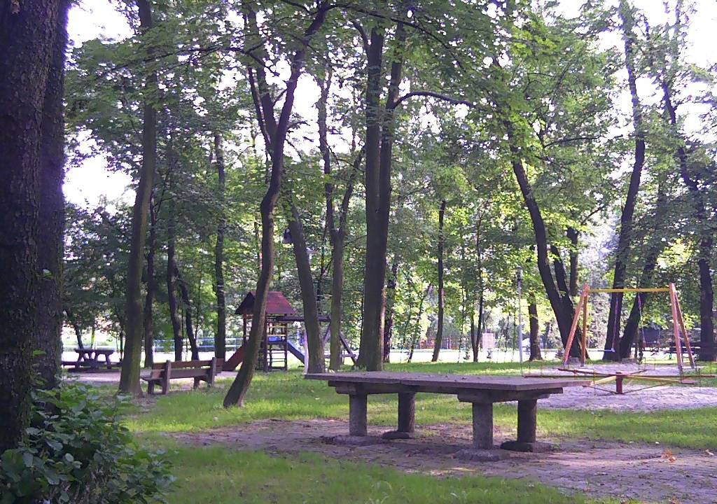 Zdjęcie 6