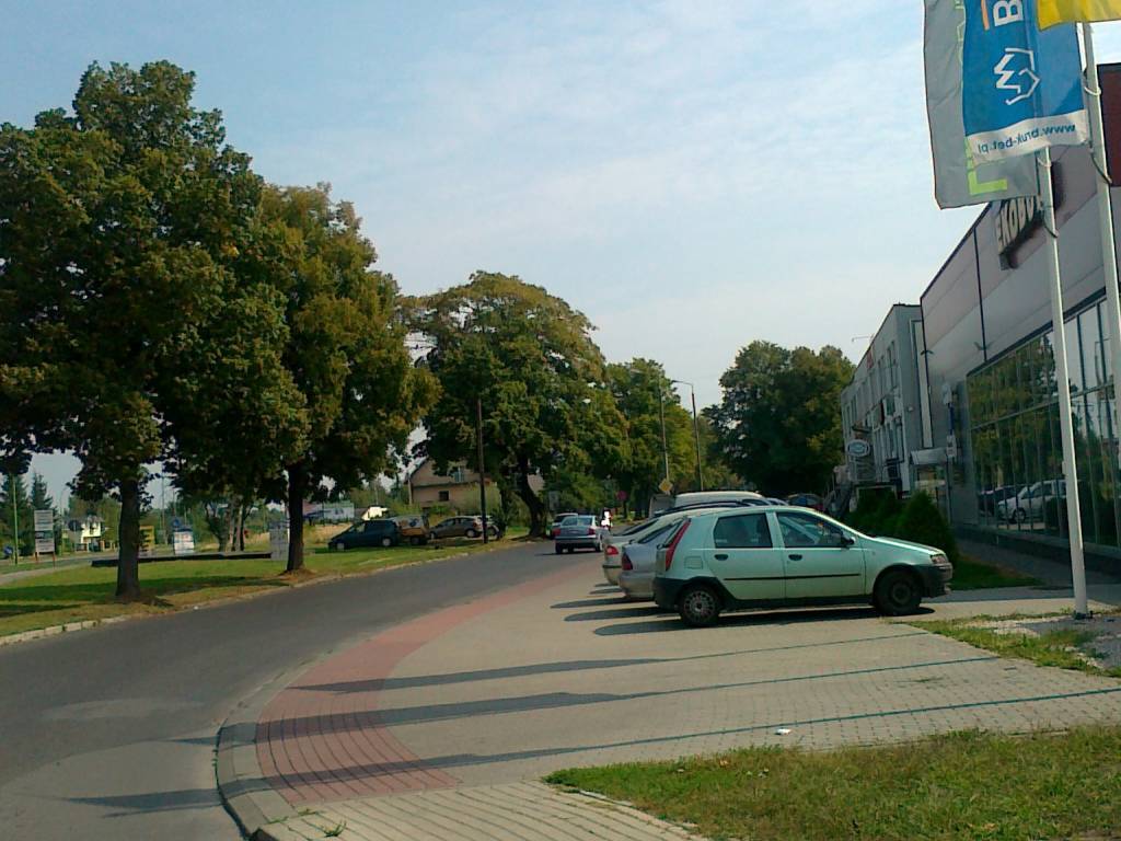 Zdjęcie 2