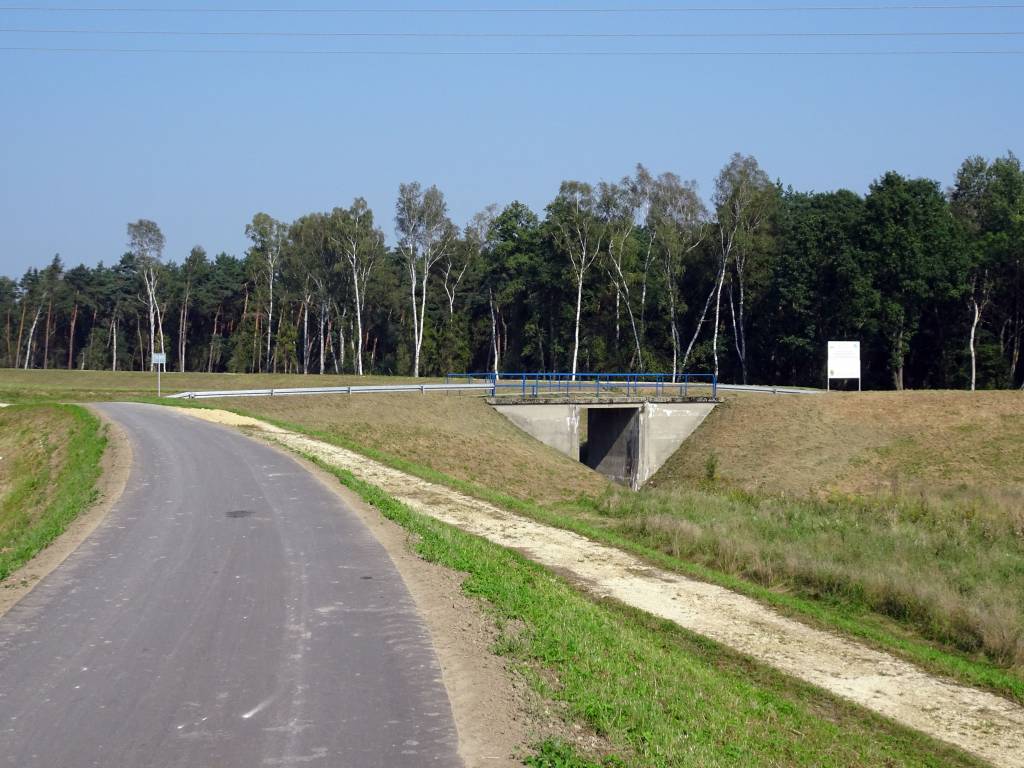 Zdjęcie 3