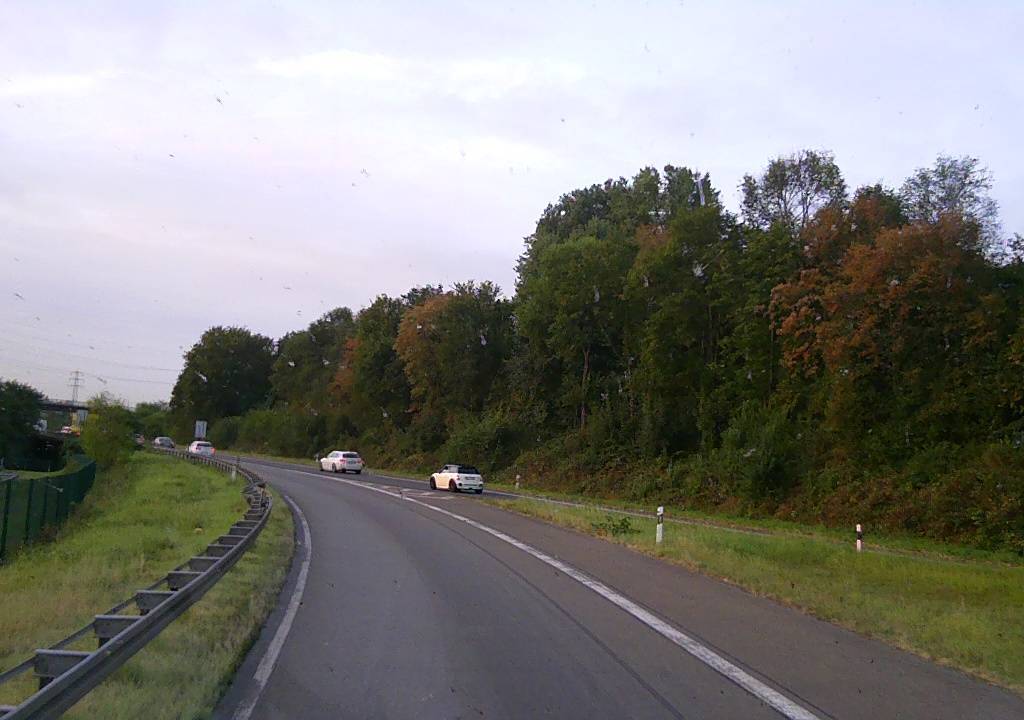 Zdjęcie 3