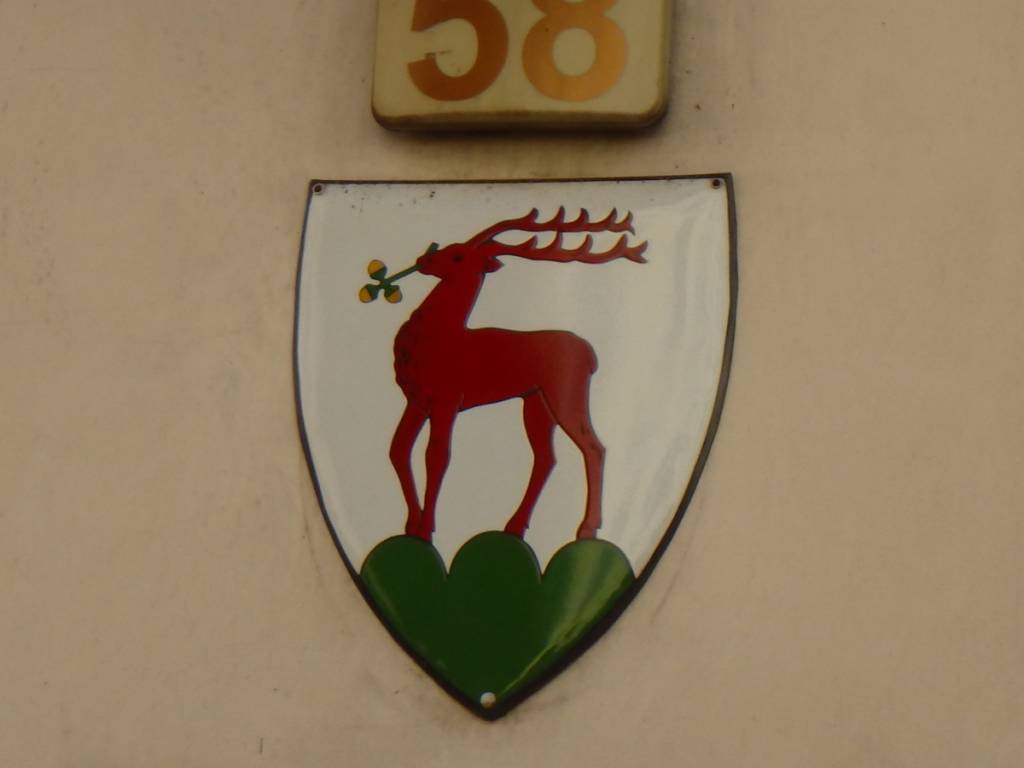 Zdjęcie 5