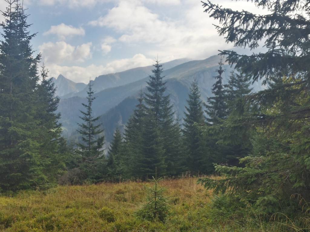 Zdjęcie 3