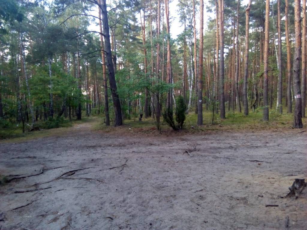 Zdjęcie 6