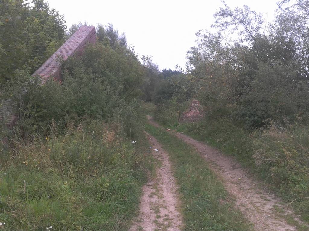 Zdjęcie 6