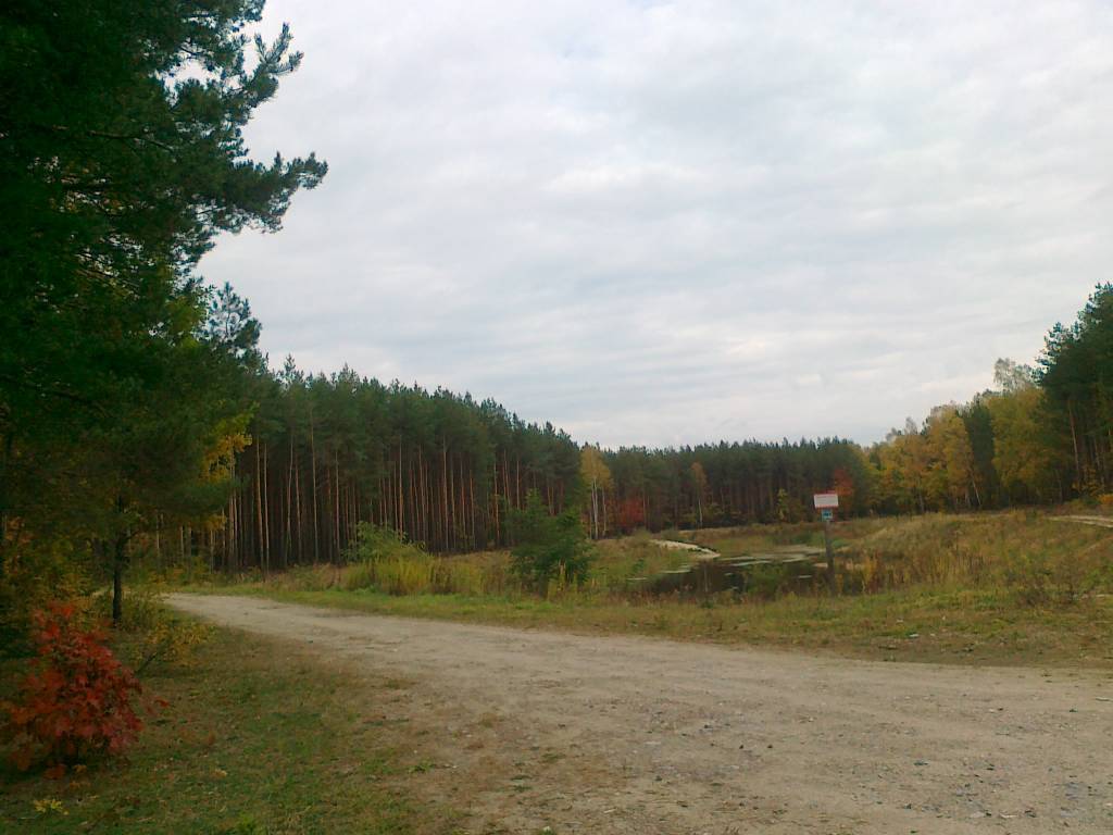 Zdjęcie 6
