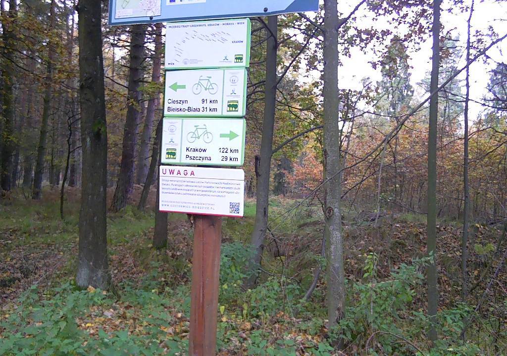 Zdjęcie 4